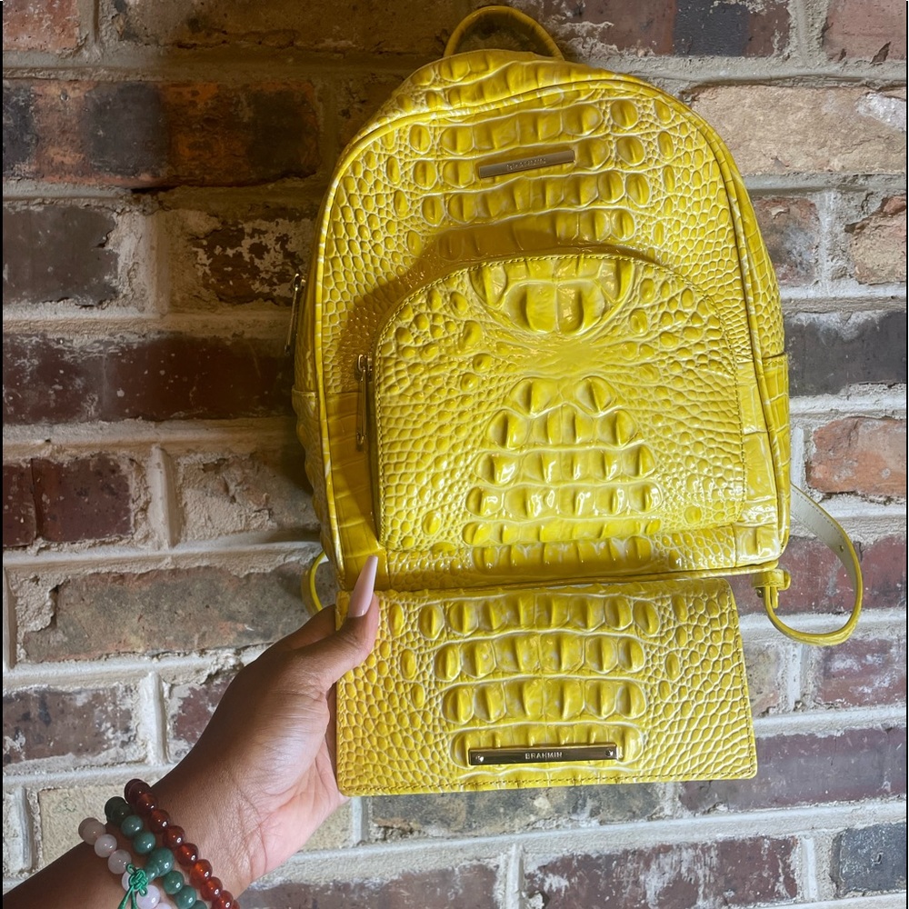 Brahmin bookbag and wallet